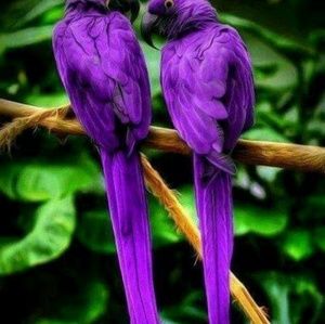 Meet your Posher, Connie